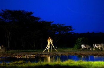 Sweetwaters Serena Camp *