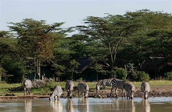 Sweetwaters Serena Camp Nanyuki